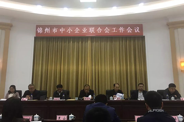 我公司參加全市中小企業聯合會工作會議并做發言