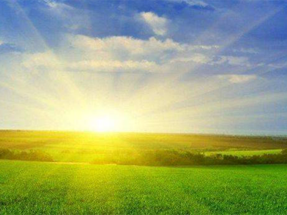 2020H1，錦州陽(yáng)光戮力同心、運(yùn)營(yíng)達(dá)滿產(chǎn)