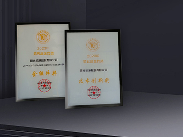 高光時刻 | 陽光能源獲N型TOPCon金組件獎及技術創新獎雙料獎項