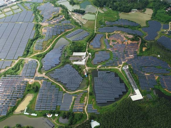 全球足跡 | 抗臺風技能拉滿！陽光能源助力廣東省開平市150MW光伏項目實現三重收益