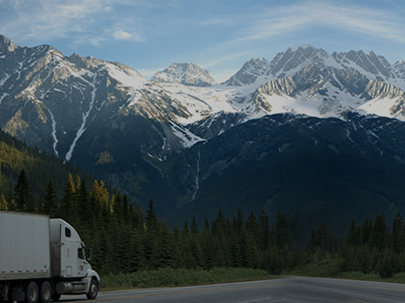 打造綠色典范工程！陽光能源助力中廣核新能源吉林白城項目順利開工