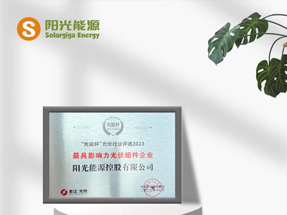 高光時刻 | 陽光能源榮獲光能杯“最具影響力光伏組件企業”稱號