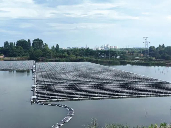 全球足跡 | 運行2年，陽光能源打造水面光伏電站的“克萊因藍”樣本